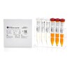 Control Set Chek-Stix® Urinalysis Level 1, 2 2 X 3 X 15 mL, 1/KT