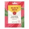 Facial Moisturizer Burt's Bees® Hydrating Sheet Mask 0.33 oz. Individual Packet Watermelon Scent Mask, 6/CT