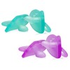 Pacifier Evenflo Feeding Balance + Ages 6 Months and Up, 8/CS