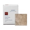 Collagen Dressing ZeniCOL 2 X 2 Inch Square Sterile, 10/BX
