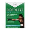 Topical Pain Relief Biofreeze 5% Strength Menthol Patch 4 per Box