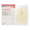Kaltostat® Calcium Alginate Dressing (168212)