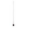Spinal Needle AVANOS* 5 Inch 23 Gauge Quincke Style