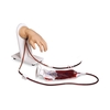 Advanced IV Hand Model Life/Form® , 1/EA