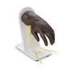 Advanced IV Hand Life/Form® 6.5 lbs., 1/EA