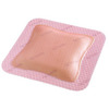 Silver Foam Dressing Allevyn Ag Gentle Border 7 x 7" Square Sterile, 40 EA/CS