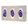 Glove Box Holder, Triple with Dividers (GL300-0212)