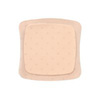 Foam Dressing with Silver Aquacel Ag 10" x 12" Square