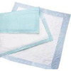 Deluxe® Heavy Absorbency Underpads (1002), 17x24, 300/CS