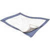 Passport® Light Absorbency Underpads (3830), 22x35, 100/CS