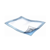 Passport® Heavy Absorbency Underpads (1305), 30x36, 10 EA/BG