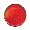 Prepared Media BD BBL Trypticase Soy Agar with 5% Sheep Blood (TSA II) Dark Red Mono-Plate Format, 100/BX