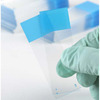 Charged Microscope Slide Diamond® White Glass 25 X 75 X 1 mm Blue Frosted End, 1440/CS