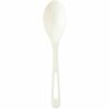 World Centric World Centric Spoon SPRWORSPPS6