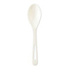 World Centric&reg; TPLA Compostable Cutlery